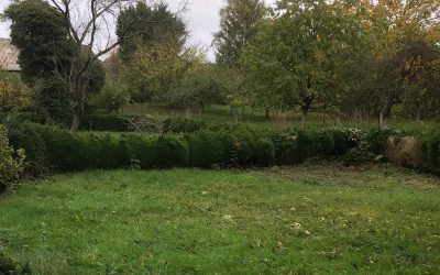 Un projet de commerce multiservices au cœur du village