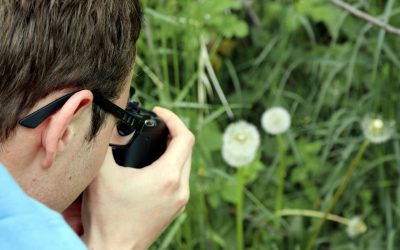 Concours photos nature